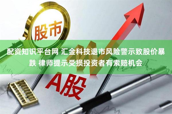 配资知识平台网 汇金科技退市风险警示致股价暴跌 律师提示受损投资者有索赔机会