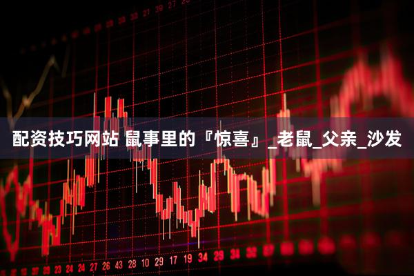 配资技巧网站 鼠事里的『惊喜』_老鼠_父亲_沙发