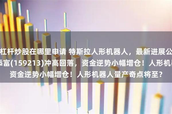 杠杆炒股在哪里申请 特斯拉人形机器人，最新进展公布！机器人ETF汇添富(159213)冲高回落，资金逆势小幅增仓！人形机器人量产奇点将至？